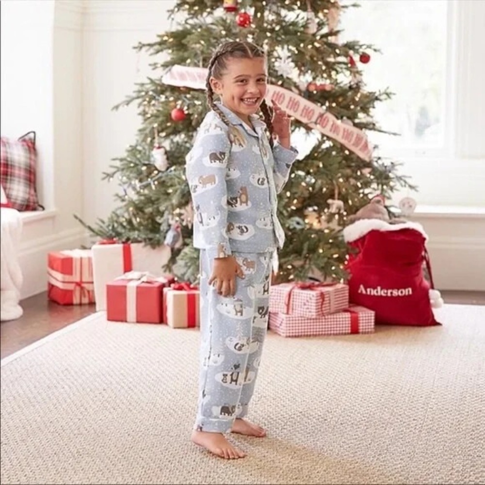New Pottery Barn Kids Unisex 3T Winter Bear Flannel Button Pajama Shirt Pants